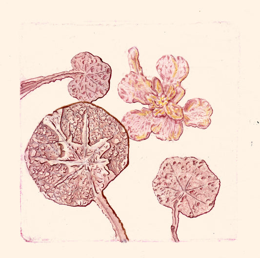 "Hojas rosadas arenosas" Pintura/dibujo original tamaño A5