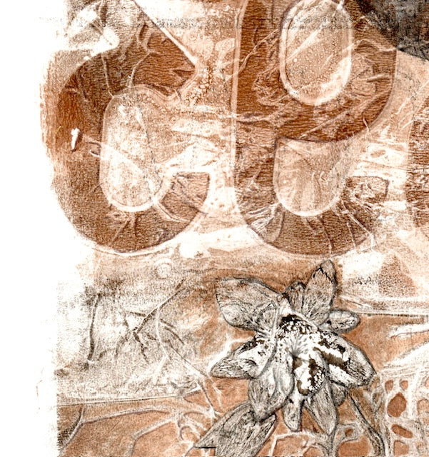 "Dark Moon Columbine" Laser Druck A4 Größe